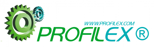 Logo Profilex z nazwą firmy Profilex